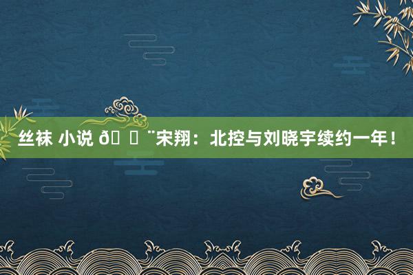 丝袜 小说 🚨宋翔：北控与刘晓宇续约一年！