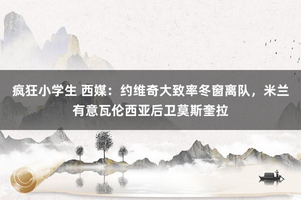 疯狂小学生 西媒：约维奇大致率冬窗离队，米兰有意瓦伦西亚后卫莫斯奎拉