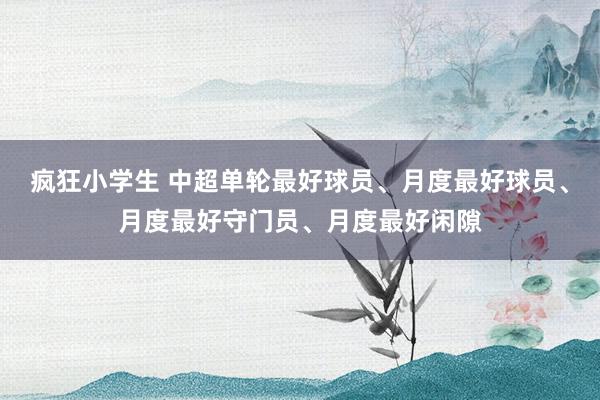 疯狂小学生 中超单轮最好球员、月度最好球员、月度最好守门员、月度最好闲隙